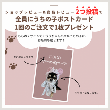子犬 りんごのほっぺ 軽い 鈴 犬 猫の首輪 首輪 シンプル 猫用 猫 かわいい 子猫 おしゃれ かわいい セーフティバックル ペットグッズ専門店