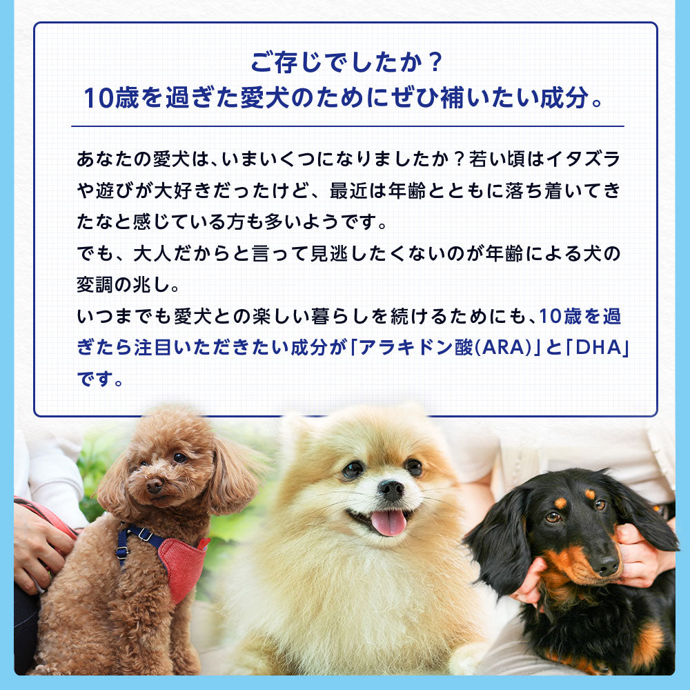 <a href="https://www.qoo10.jp/gmkt.inc/Search/brand.aspx?brandno=128060" target="_blank" class="title_brand" id="btn_brand" title="Suntory Wellness">Suntory Wellness</a>サントリー 公式 Pet Health (ペットヘルス) ARA+DHA 動物用栄養補助食品 60粒入/約20～30日分