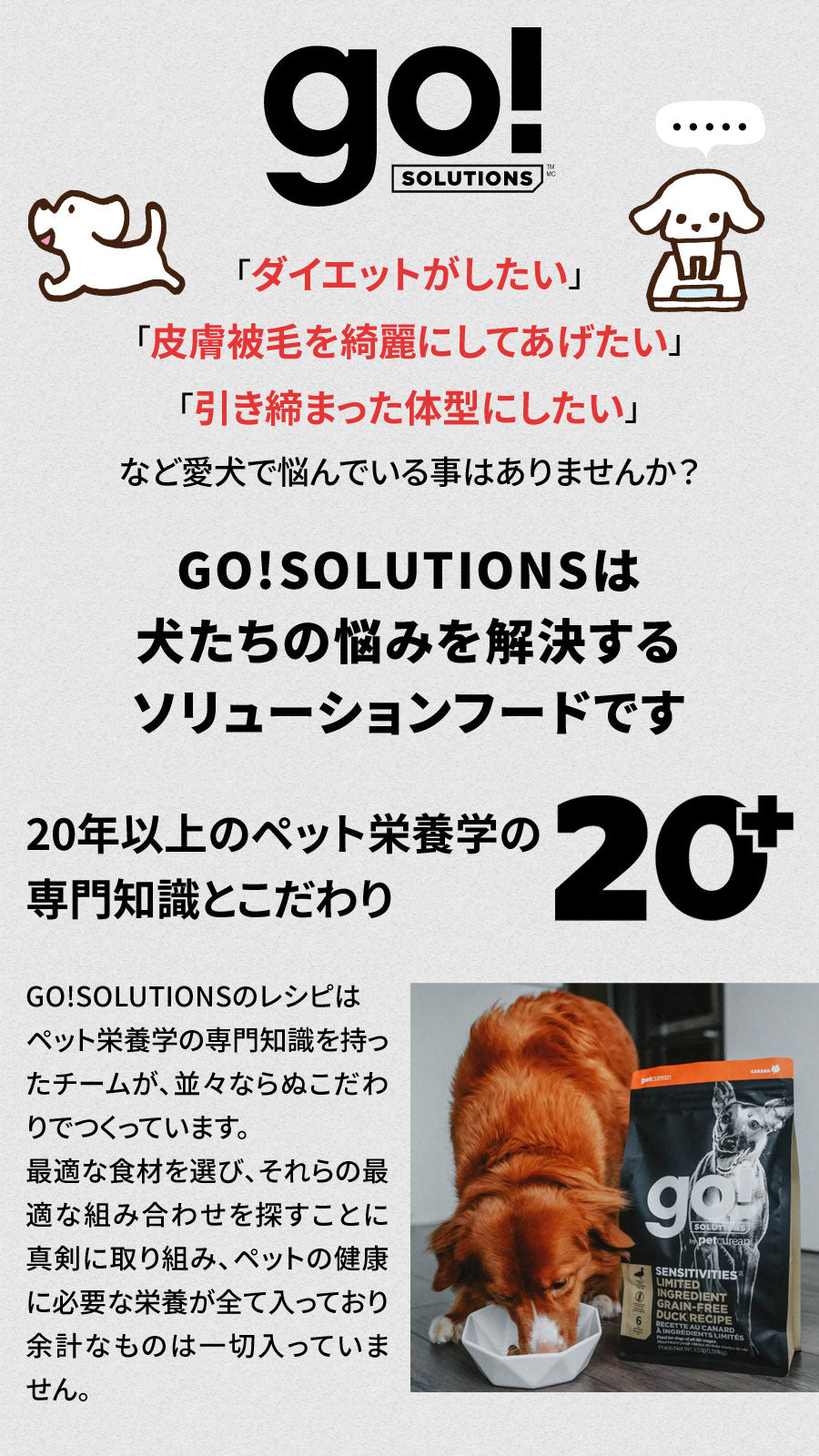 GO! ゴー ソリューションズ センシティブLID サーモン 9.98kg【国産鹿肉ジャーキー20g付き】ドッグフード