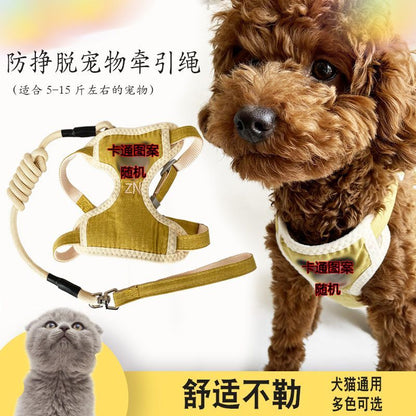 ミッキーは犬を散歩します