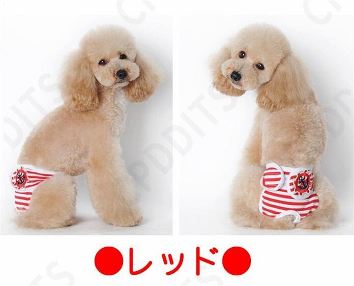 <a href="https://www.qoo10.jp/gmkt.inc/Search/brand.aspx?brandno=107992" target="_blank" class="title_brand" id="btn_brand" title="CPDDITS">CPDDITS</a>ペット生理用 犬 ペット マナーパンツ ベルト マナーバンド オムツカバー ドッグウェア 犬服