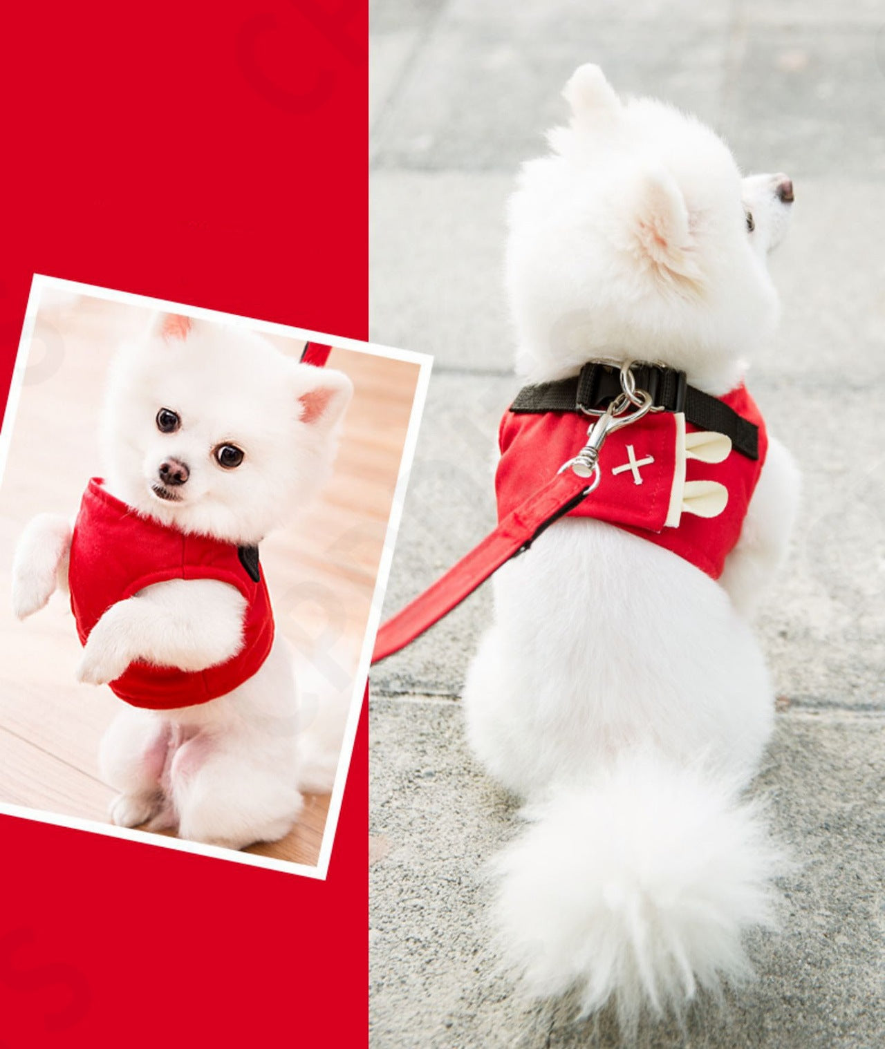 <a href="https://www.qoo10.jp/gmkt.inc/Search/brand.aspx?brandno=107992" target="_blank" class="title_brand" id="btn_brand" title="CPDDITS">CPDDITS</a>犬 猫 ハーネス リードセット ベスト ペット 胴輪 ふっくら生地 服 キャット ドッグ メッシュ