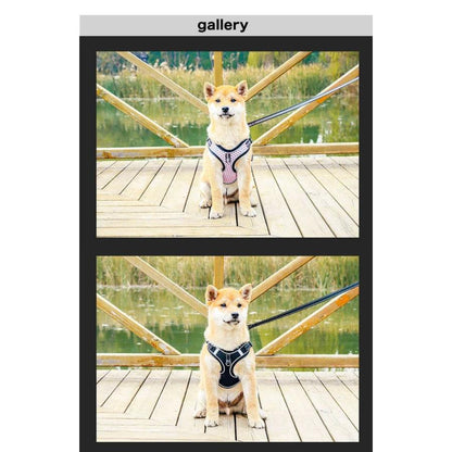 新商品プロモーション，数量限定 犬 猫 ハーネス リード付 特殊大型メッシュ ウェアハーネス ペット 服 胴輪 キャット ドッグ犬 猫