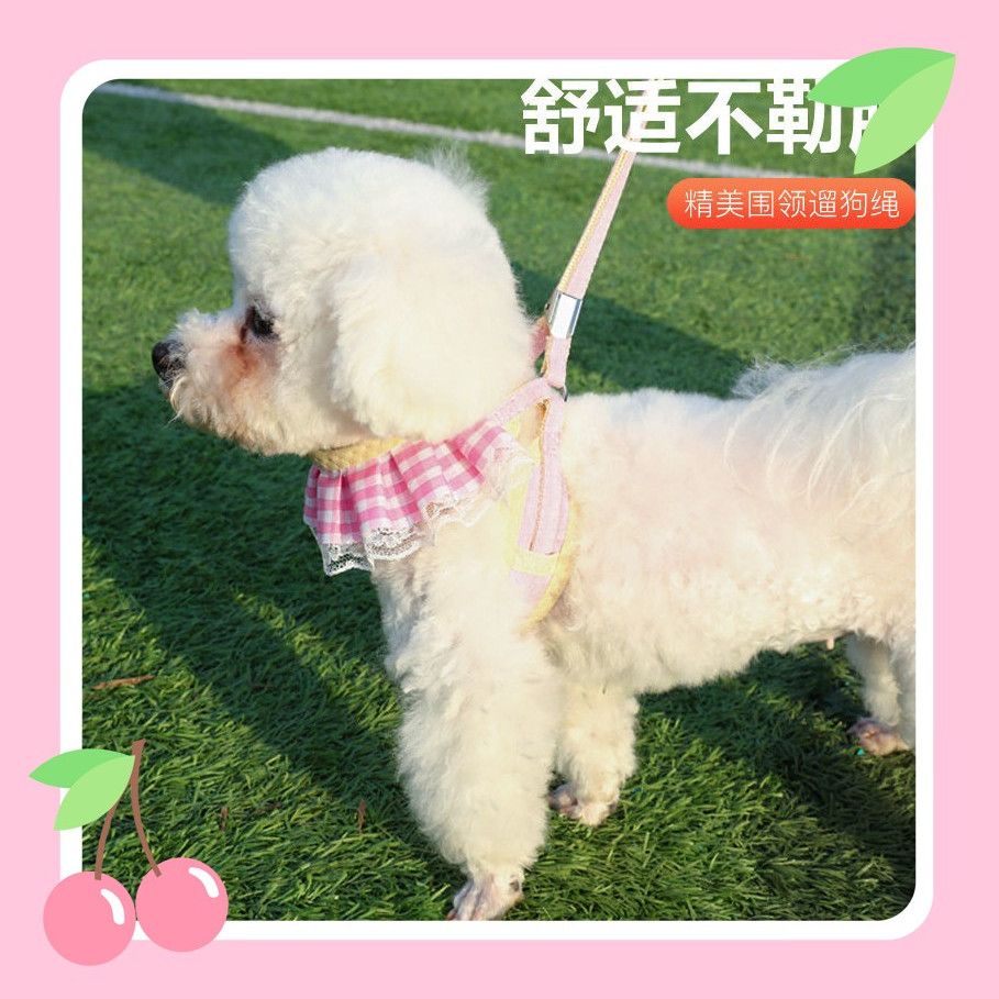 犬牽引紐子犬牽引紐小型犬胸ストラップ子犬犬かわいい散歩犬ベストチェーン通気性 メガ割ワンピースパンツトートバッグ