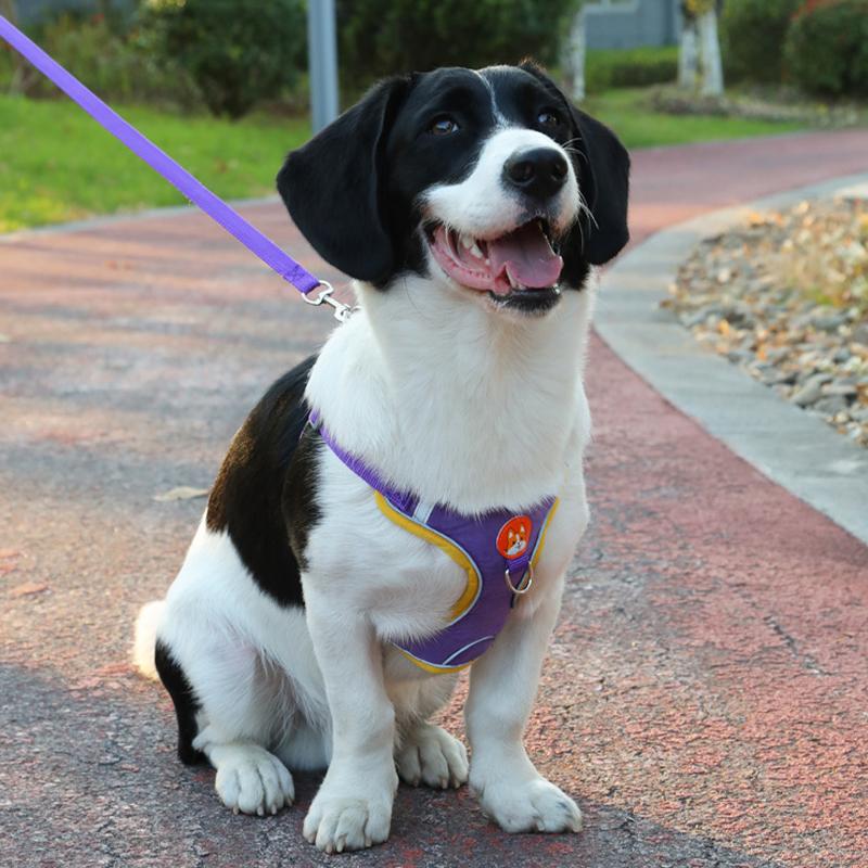 新商品プロモーション，数量限定 犬 ハーネス 犬用ハーネス リード付き ペット用 胴輪 小型犬 中型犬 大型犬 反射 簡単装着 可愛い 抜けない 柔らかい ペット用ハーネス犬 ハーネス