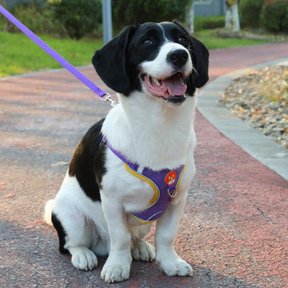 新商品プロモーション，数量限定 犬 ハーネス 犬用ハーネス リード付き ペット用 胴輪 小型犬 中型犬 大型犬 反射 簡単装着 可愛い 抜けない 柔らかい ペット用ハーネス犬 ハーネス