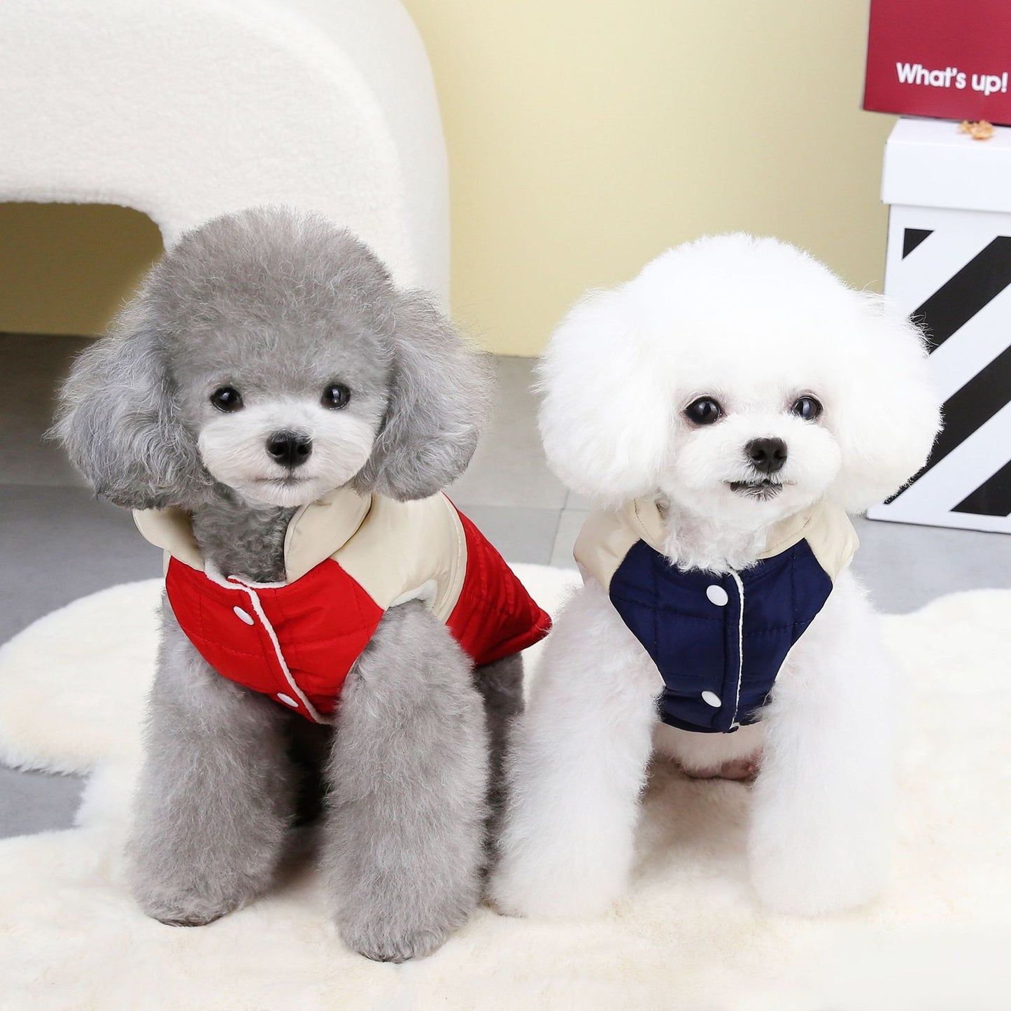 猫 犬 洋服 犬服 ペット服 大中小型犬 ペット用品 犬/猫用 犬の服 ペットウエア 小型犬 中型犬 通気 可愛い ドッグウェア トレーナー 犬 服 ワンピース サロペット ビションフリーゼ 犬猫服