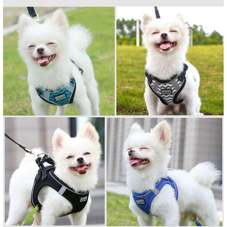 新商品プロモーション，数量限定 ペット用 犬用 ハーネスとリード２点セット 簡単着脱 マジックテープ式８種 全8種　犬用型ハーネス＆リード しつけ 歩行補助 リードコンペット用 犬用