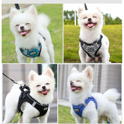 新商品プロモーション，数量限定 ペット用 犬用 ハーネスとリード２点セット 簡単着脱 マジックテープ式８種 全8種　犬用型ハーネス＆リード しつけ 歩行補助 リードコンペット用 犬用