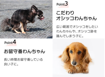 わんちゃんに合わせて選べる2サイズぺットシーツ ワイド レギュラー 厚型 / 超厚型 ペットシーツ メガ割