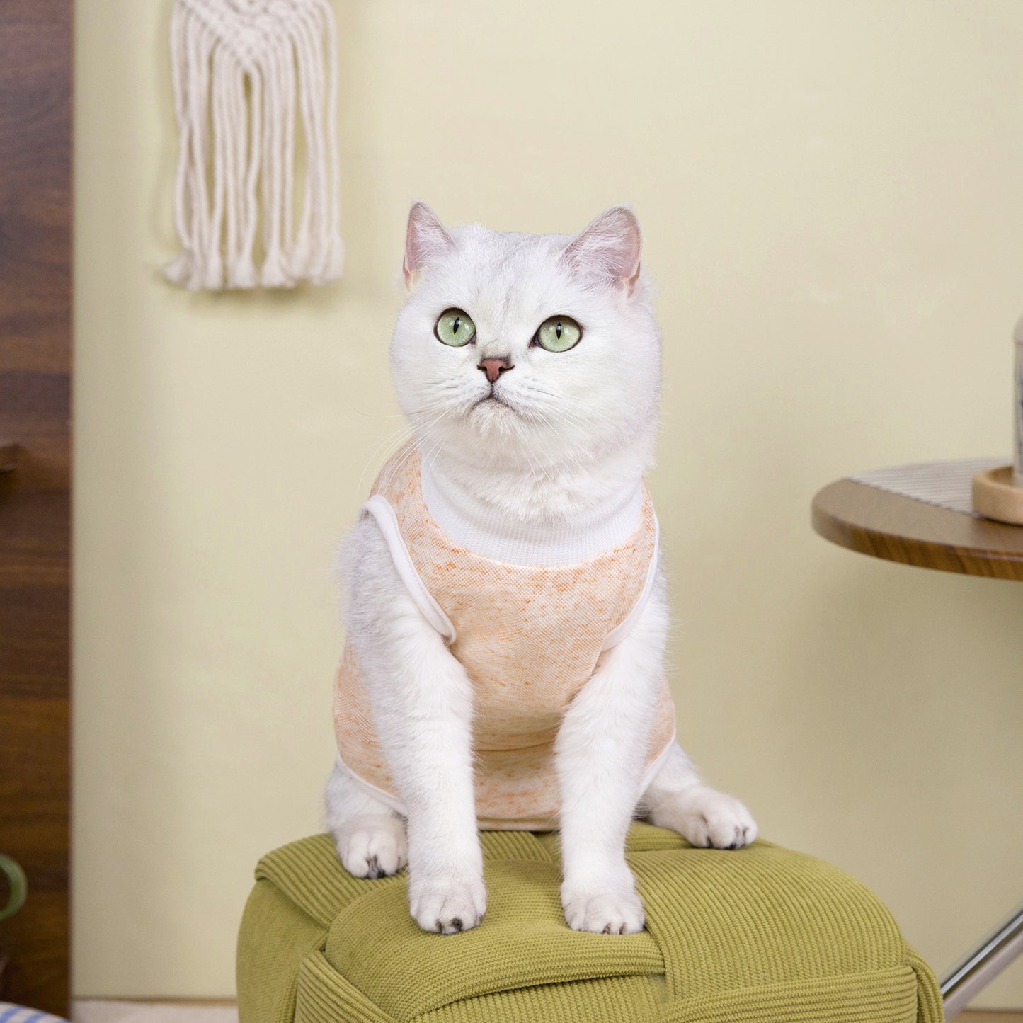 猫 犬 洋服 犬服 ペット服 大中小型犬 ペット用品 犬/猫用 犬の服 ペットウエア 小型犬 中型犬 通気 可愛い ドッグウェア トレーナー 犬 服 ワンピース サロペット ビションフリーゼ 犬猫服