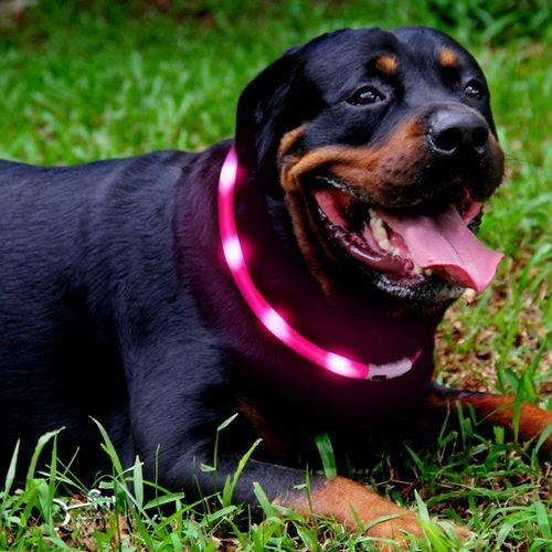 小型犬 プレゼントラッピング無料 犬 中型犬 シリコン 大型犬 防水 猫 LED 夜の散歩 首輪 取り外し可能 光る