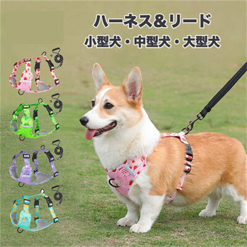 犬服 春 犬 ハーネス 小型犬 リードセット 胴輪 リボン おでかけ お散歩 ドッグウェア 可愛い おしゃれ ペットグッズ 首輪 装着しやすく優しいメッシュ素材