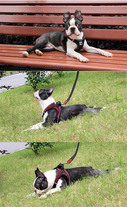 引っ張っても痛くない ドッグ 服 ハーネス 胴輪 犬 ウェアハーネス キャット ペット