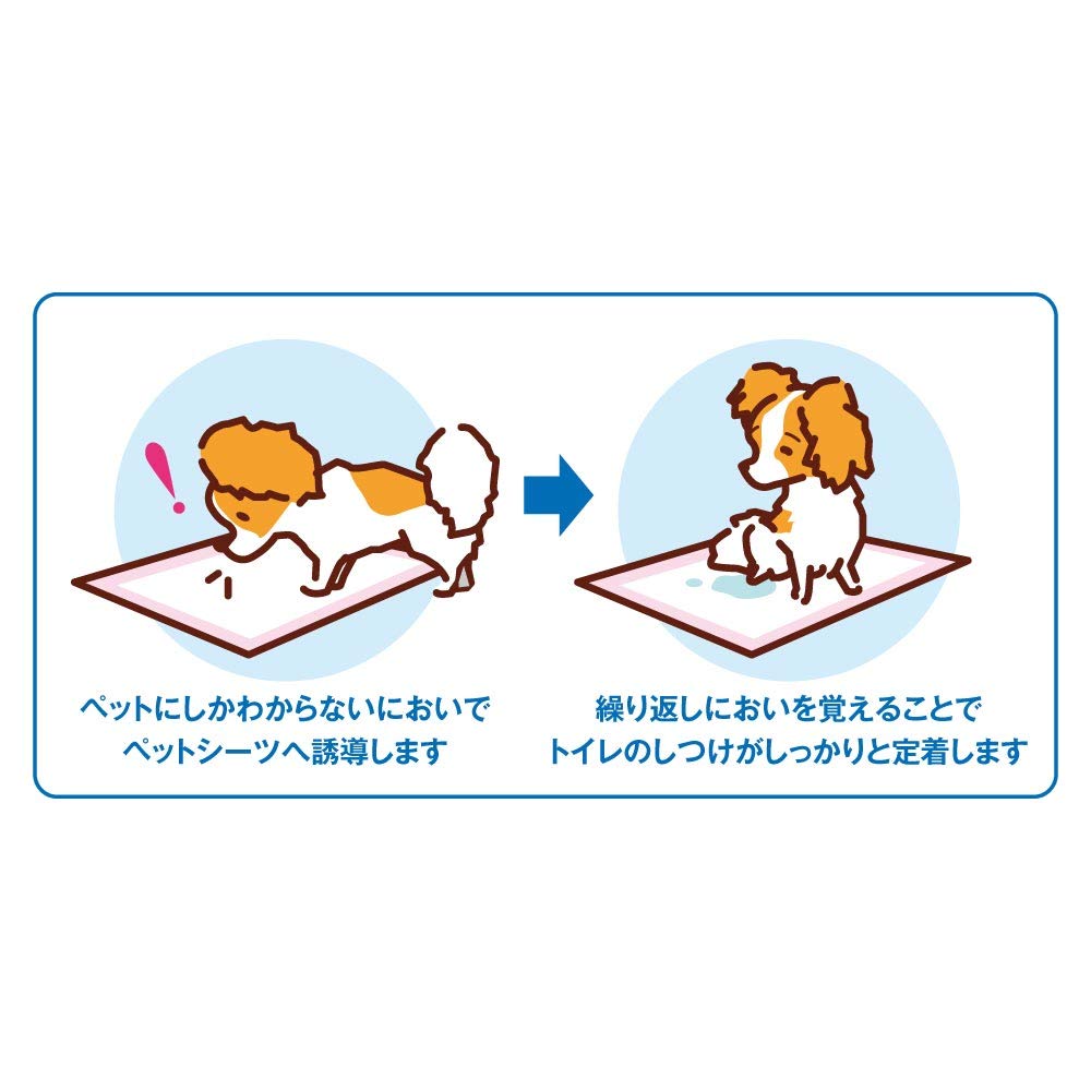 ボンビアルコン (Bonbi) しつけるシーツ幼犬用neoレギュラーサイズ 40枚 レギュラー