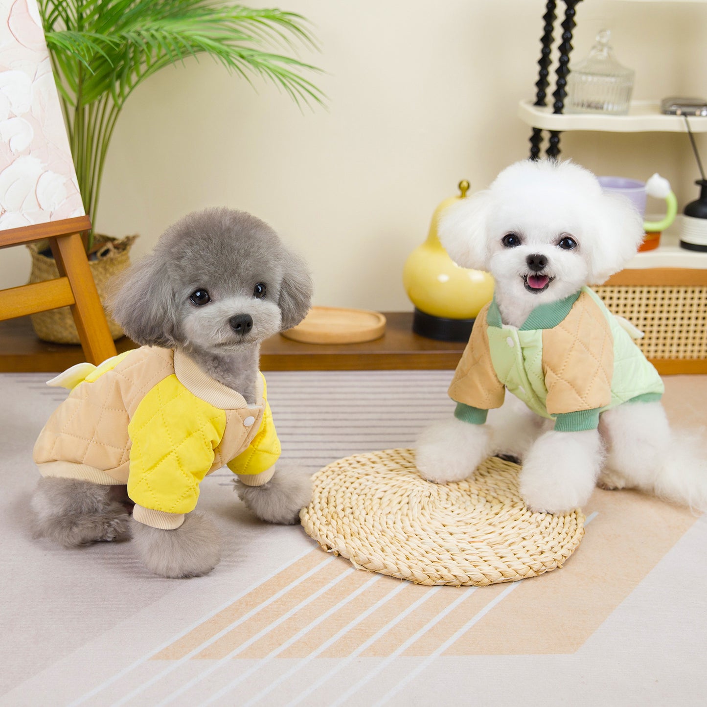 猫 犬 洋服 犬服 ペット服 大中小型犬 ペット用品 犬/猫用 犬の服 ペットウエア 小型犬 中型犬 通気 可愛い ドッグウェア トレーナー 犬 服 ワンピース サロペット ビションフリーゼ 犬猫服