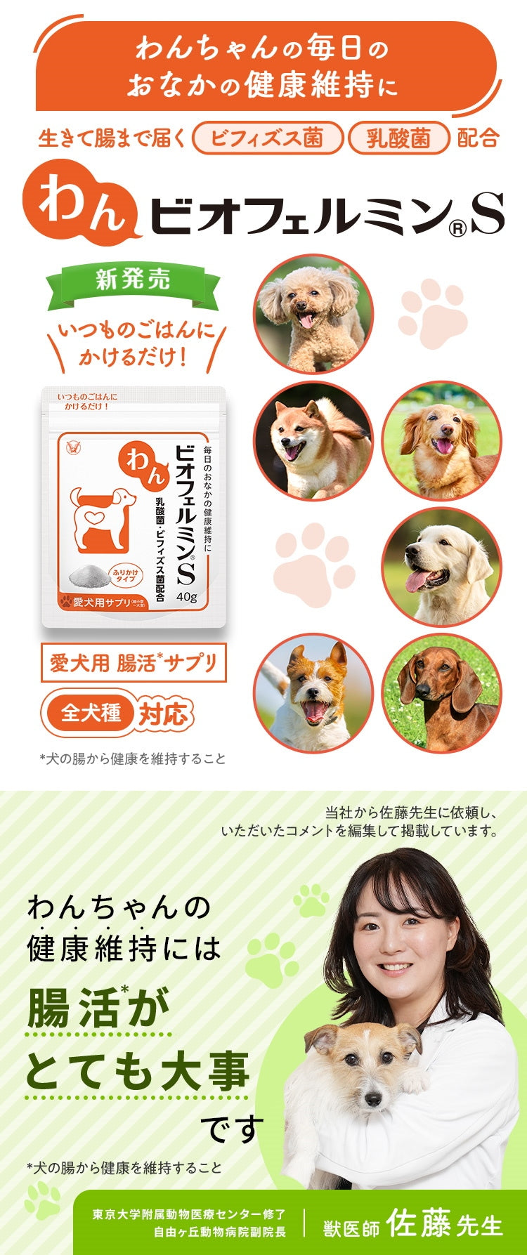 <a href="https://www.qoo10.jp/gmkt.inc/Search/brand.aspx?brandno=62316" target="_blank" class="title_brand" id="btn_brand" title="大正製薬">大正製薬</a>【公式】大正製薬 わんビオフェルミンS 40g 犬 サプリ サプリメント 腸活 免疫力 健康維持 ビフィズス菌 乳酸菌 犬サプリ イヌ 犬用 ペット 腸活サプリ 無添加 ふりかけ 粉 腸内環境
