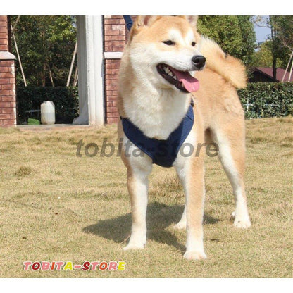 ハーネスリード 首輪 胴輪 犬用 小型犬 中型犬 大型犬 2点セット サイズ調節可能 シンプル 装着しやすい 反射テープ ペット用品 お散歩 散歩紐