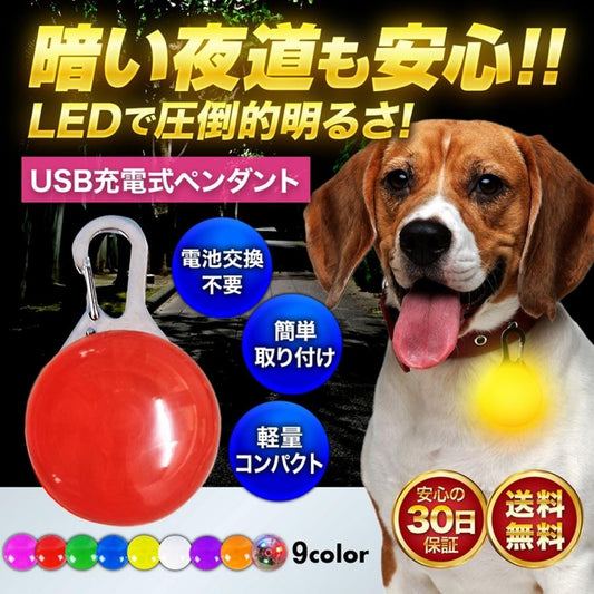 首輪 光る LED ライト 光る首輪 ペンダント 充電式 USB 犬 ランニング ウォーキング 散歩