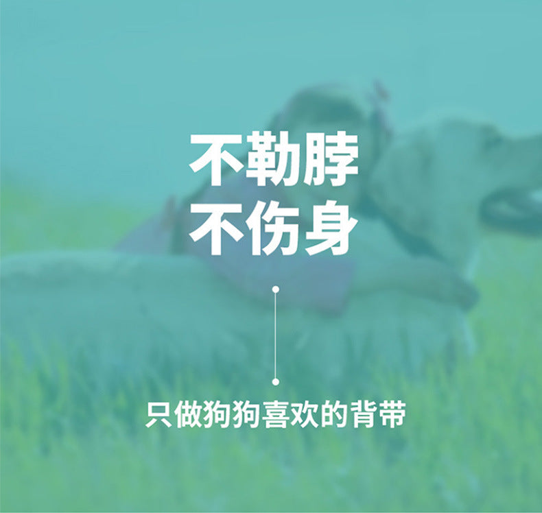 ハーネス 猫用 リード 犬用ハーネス ハーネスリードセット 114 軽量 おしゃれ 小型犬 ペットハーネス リーシュ 胴輪 簡単装着 中型犬 シンプル ネコ用ハーネス お出かけ 2点セット 犬用 犬