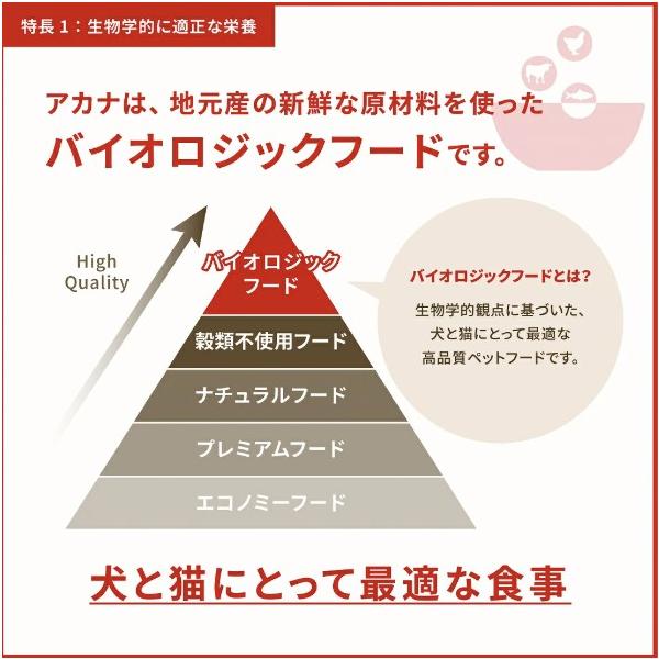 ACANA アカナ アダルトスモールブリード 340g ドッグフード 犬 餌 小型犬 小粒 無添加 肉食 カナダ産