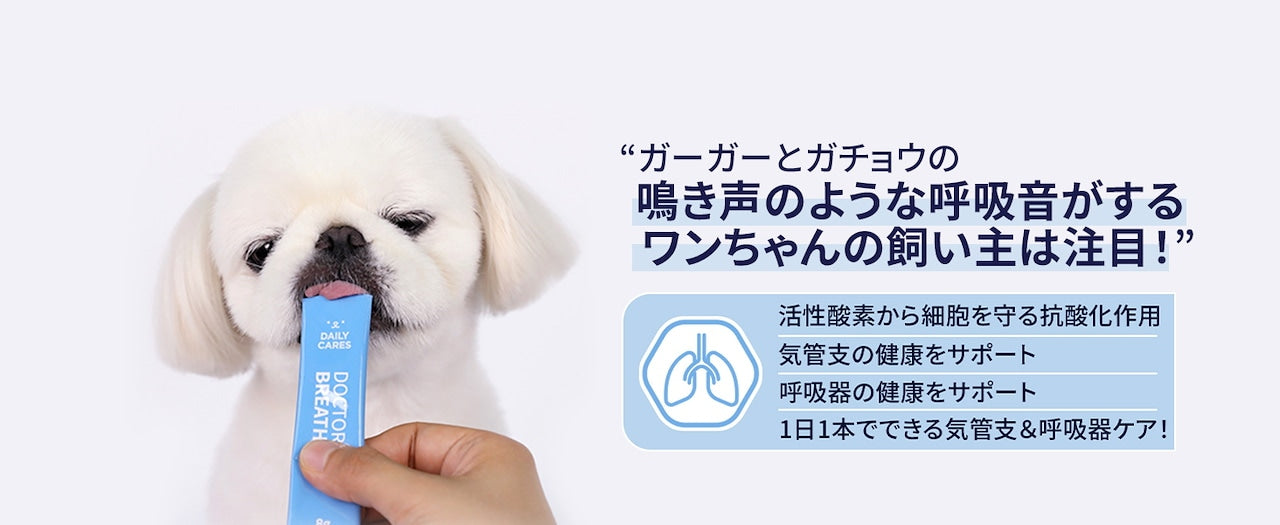 <a href="https://www.qoo10.jp/gmkt.inc/Search/brand.aspx?brandno=120824" target="_blank" class="title_brand" id="btn_brand" title="ドクターバイ">ドクターバイ</a>[公式]ブレス犬気管支サプリメント咳風邪気管虚脱カッカッ免疫力日本特許成分「TF-343」30本 (240g)