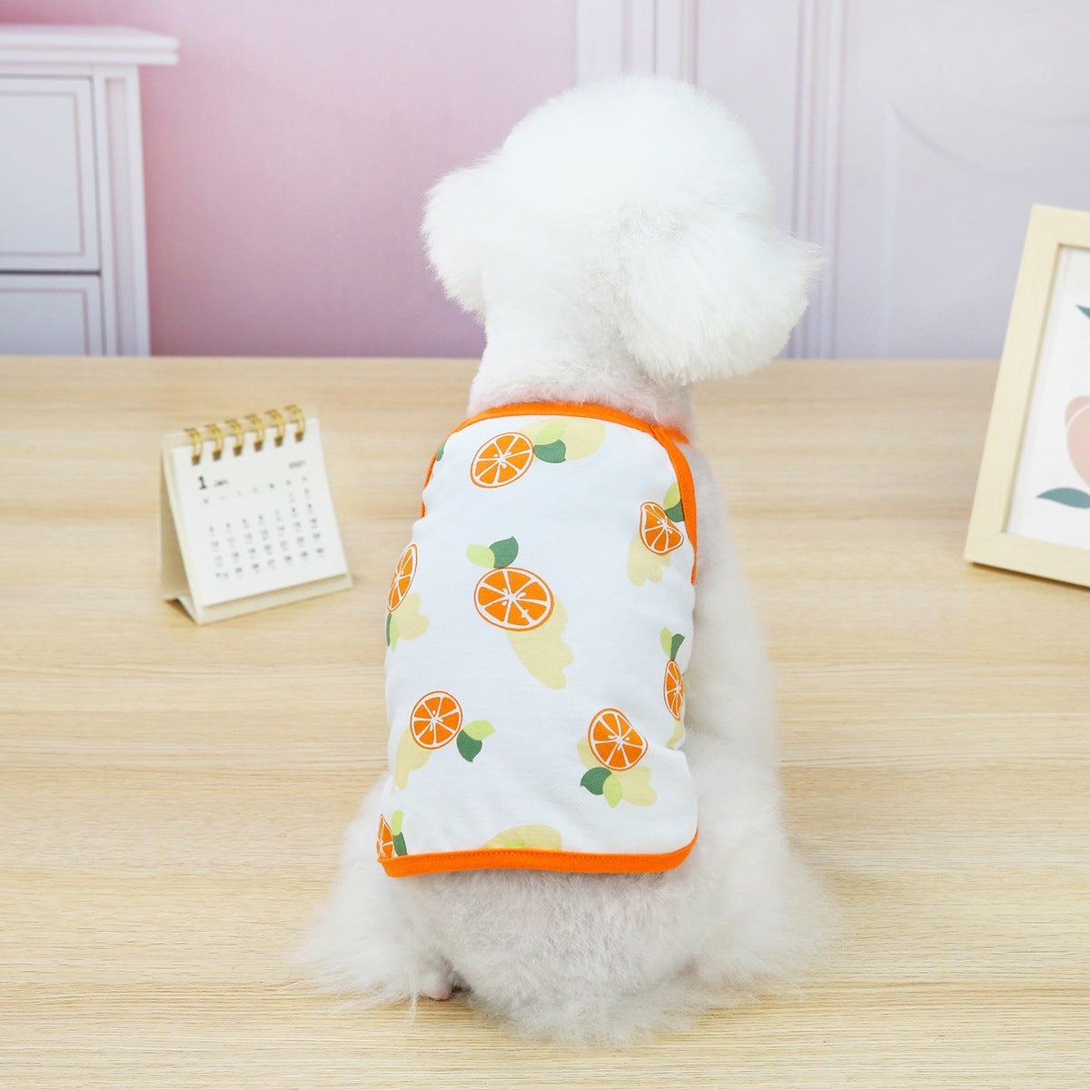 猫 犬 洋服 犬服 ペット服 大中小型犬 ペット用品 犬/猫用 犬の服 ペットウエア 小型犬 中型犬 通気 可愛い ドッグウェア トレーナー 犬 服 ワンピース サロペット ビションフリーゼ 犬猫服