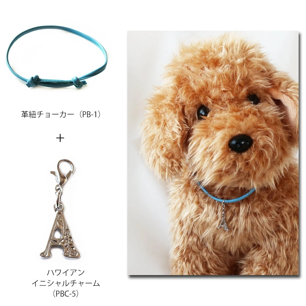 <a href="https://www.qoo10.jp/gmkt.inc/Search/brand.aspx?brandno=121124" target="_blank" class="title_brand" id="btn_brand" title="MELODY ACCESSORY">MELODY ACCESSORY</a>送料無料 ペットアクセサリー 犬用 ネックレス ハワジュ アルファベット 英字 ドッグアクセサリー 首輪 チョーカー 犬 猫 ペット 小型犬 中型犬 かわいい おしゃれ ト