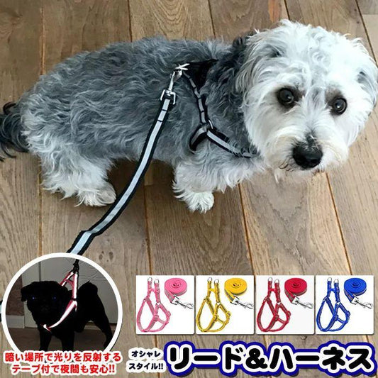 新商品プロモーション，数量限定 り犬 猫 ハーネス リード ペット 胸あて 胴輪 キャット ドッグ メッシュ 反射テープ 付り犬 猫