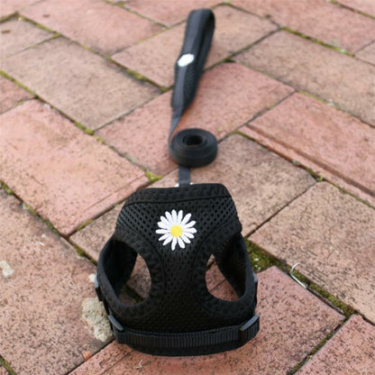 お出かけ おしゃれ 小型犬 2点セット 軽量 ハーネス シンプル お散歩 中型犬 ペット用品 犬用ハーネス リード 犬 ネコ用ハーネス リーシュ 胴輪 145 ペットハーネス 犬用 簡単装着 ハーネス