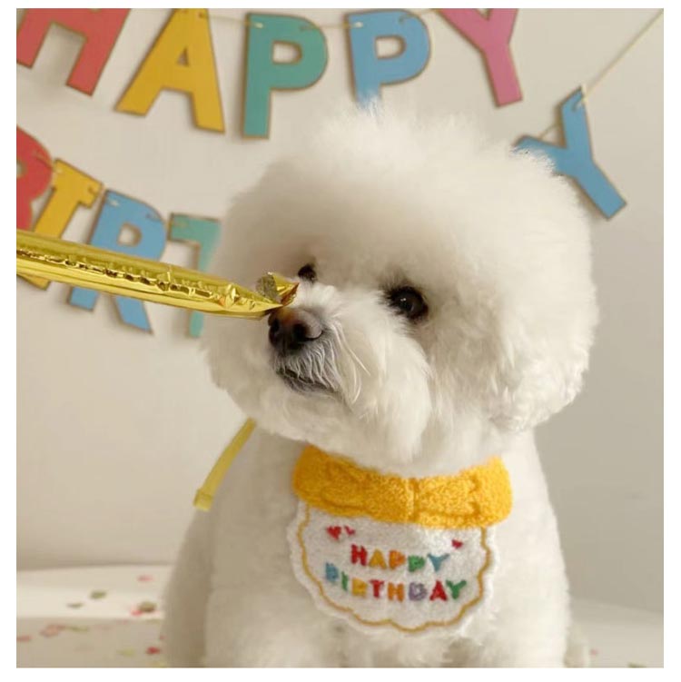 新作セールスタイ 誕生日 撮影 ハット ペット用 猫 バースデー ビブ 帽子 犬用 スカーフ よだれかけ 小型犬 ハッピーバースデー お祝い 写真 ペット用品 首飾り アクセサリー おしゃれ かわいい