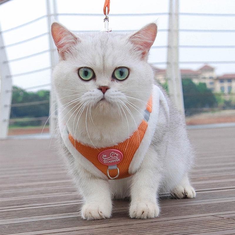 おしゃれ かわいい 胴輪 ペット 服 ねこ 猫用 ハーネス 猫 冬用 小型犬 可愛い 散歩 猫ハーネス お出かけ 抜けない 抜けない ネコ リード キャット 外出