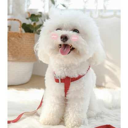 ペット用品 ハーネスリードセット お散歩 ハーネス リード マスコットつき 新作セール 犬 猫 ワンちゃん 猫ちゃん