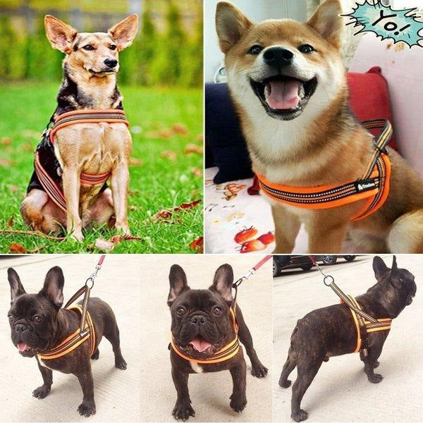 犬 ハーネス 犬用 ハーネス Truelove ブランド 胴輪 ソフトパッド 簡単装着 快適 スポーツハーネス 超大型犬 大型犬 小型犬