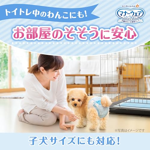 <a href="https://www.qoo10.jp/gmkt.inc/Search/brand.aspx?brandno=124379" target="_blank" class="title_brand" id="btn_brand" title="マナーウェア">マナーウェア</a>マナーウェア 犬用 おむつ 女の子用 SSSサイズ 超小型犬用 ピンクリボン 青リボン 504枚 （