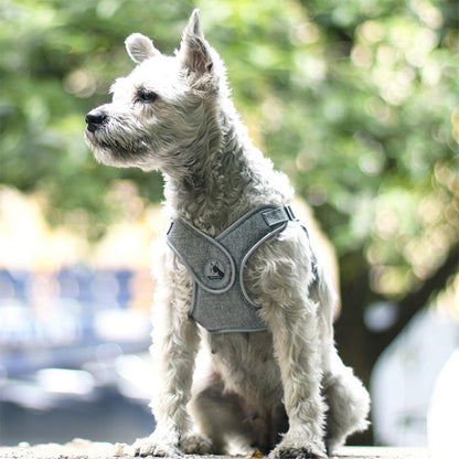 犬 ハーネス 負担軽減 胴輪 小型犬 中型犬 老犬 リード付き 犬具 リードセット 散歩 お出かけ