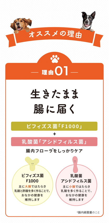 <a href="https://www.qoo10.jp/gmkt.inc/Search/brand.aspx?brandno=62316" target="_blank" class="title_brand" id="btn_brand" title="大正製薬">大正製薬</a>【公式】大正製薬 わんビオフェルミンS 40g 2袋 犬 サプリ サプリメント 腸活 免疫力 健康維持 ビフィズス菌 乳酸菌 犬サプリ イヌ 犬用 ペット 腸活サプリ 無添加 ふりかけ 粉 腸内環境