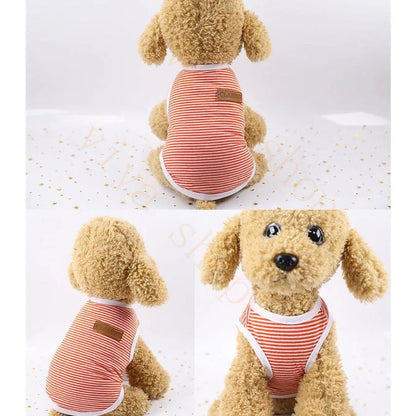 新品 大人気 二枚セット キャットウェア ドッグウエア 犬服 猫服 ペット服 ペットウエア 犬 猫 愛犬 ペット ペット用品 ボーダー柄 パーカー ジャケット