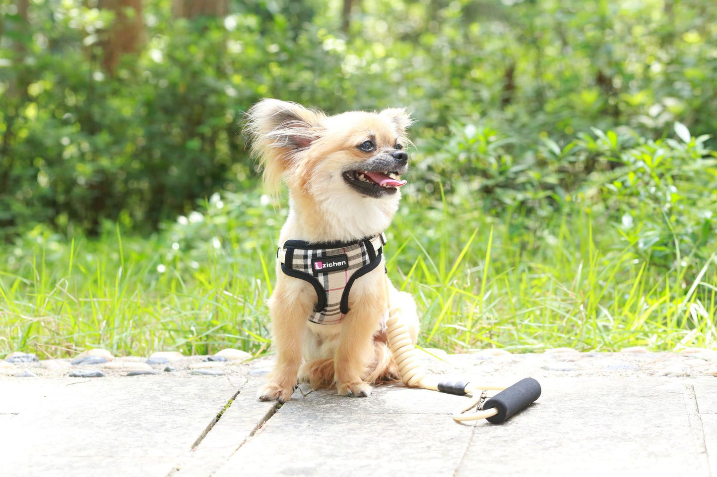 簡単装着 小型犬 胴輪 130 ペットハーネス 犬用ハーネス ハーネスリードセット おしゃれ リード 中型犬 お出かけ 犬用 猫用 シンプル 犬 ペット用品 軽量 リーシュ ネコ用ハーネス ハーネス