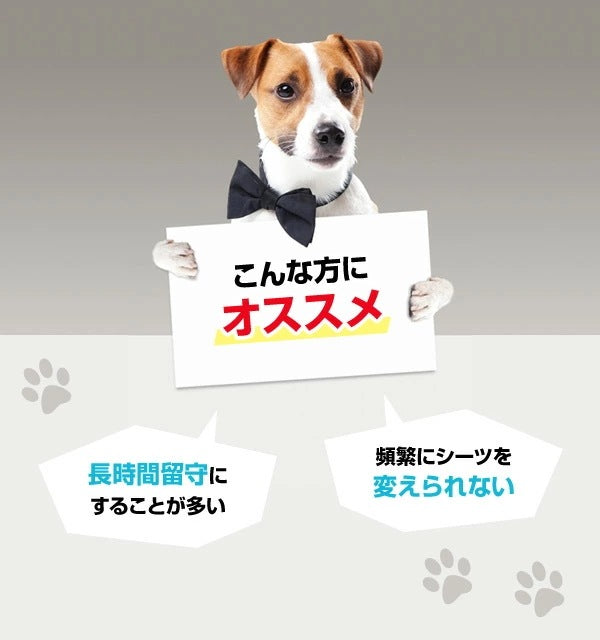 <a href="https://www.qoo10.jp/gmkt.inc/Search/brand.aspx?brandno=22721" target="_blank" class="title_brand" id="btn_brand" title="山善">山善</a>厚型 ペットシーツ(レギュラー 400枚)/(ワイド 200枚) AAPS-100R/AAPS-50W