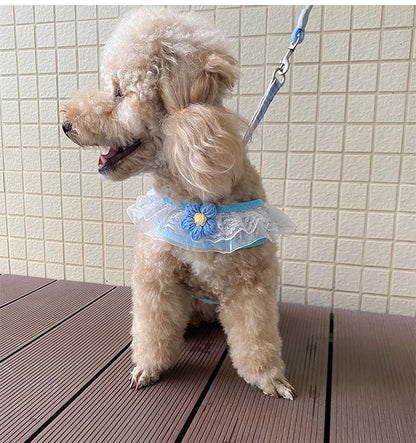 犬の牽引紐レースの胸の帯のテディ比熊の小型犬の牽引犬の縄は犬のひもの犬のチェーンを散歩します