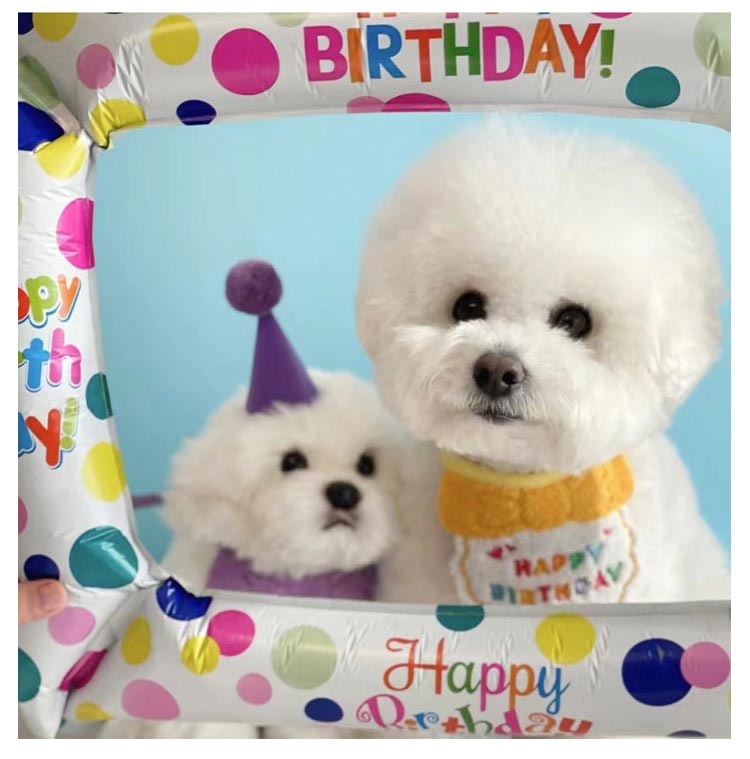 新作セールスタイ 誕生日 撮影 ハット ペット用 猫 バースデー ビブ 帽子 犬用 スカーフ よだれかけ 小型犬 ハッピーバースデー お祝い 写真 ペット用品 首飾り アクセサリー おしゃれ かわいい
