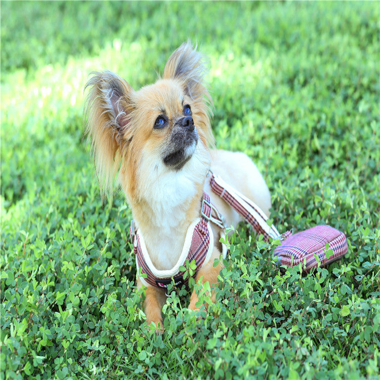 犬用 リーシュ 簡単装着 シンプル ネコ用ハーネス お散歩 ハーネスリードセット 小型犬 胴輪 2点セット お出かけ おしゃれ 軽量 129 ペットハーネス 猫用 中型犬 ハーネス リード ペット用品