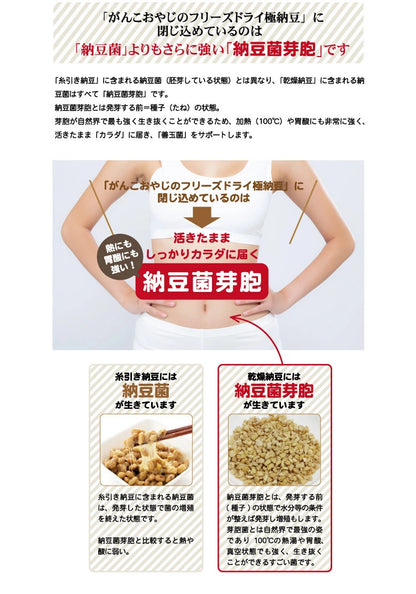 <a href="https://www.qoo10.jp/gmkt.inc/Search/brand.aspx?brandno=117154" target="_blank" class="title_brand" id="btn_brand" title="がんこおやじのおやつ亭">がんこおやじのおやつ亭</a>フリーズドライ極納豆 30g 5袋セット 追跡可能メール便