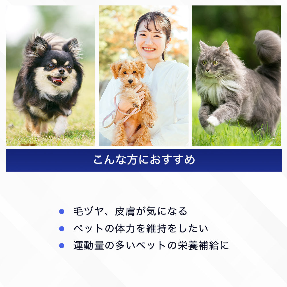<a href="https://www.qoo10.jp/gmkt.inc/Search/brand.aspx?brandno=128060" target="_blank" class="title_brand" id="btn_brand" title="Suntory Wellness">Suntory Wellness</a>サントリー 公式 Pet Health (ペットヘルス) セサミンE 動物用栄養補助食品 ビタミンE 30粒入/約15～30日分