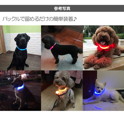 犬 首輪 光る LED キラキラ 光るバンド S/M/L 首バンド 夜間 散歩 夜 ペット リード ジョギング ウォーキング きらきらバンド 安全ライト 防止 点滅 ライト ins