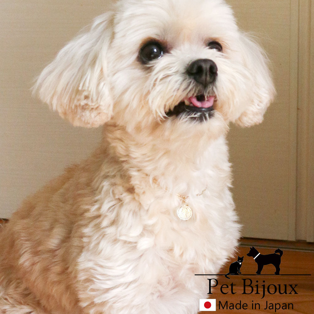 <a href="https://www.qoo10.jp/gmkt.inc/Search/brand.aspx?brandno=121124" target="_blank" class="title_brand" id="btn_brand" title="MELODY ACCESSORY">MELODY ACCESSORY</a>K18GP 送料無料 ドッグアクセサリー 犬用 ネックレス 首輪 チョーカー 犬 いぬ DOG ねこ 猫 ペット コイン シンプル 小型犬 中型犬 かわいい おしゃれ トイ