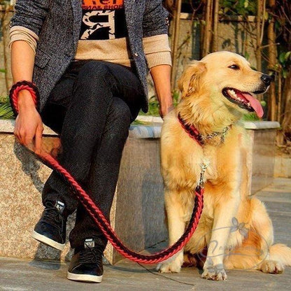 リードと首輪セット 首輪セット リードセット 首輪 小型犬 中型犬 大型犬 犬 首輪 犬用 リード 散歩 お出かけ ドック用品 リード長さ1.2メートル