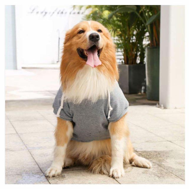 犬の服 全9サイズ・5色! ペット ジャンパー ペットウエア 全9サイズ・5色! 犬 長袖 ペット服 犬服 ドッグウェア アウター 中型犬 ドッグ服 小型犬 トレーナー 大型犬 タンクトップ フード付