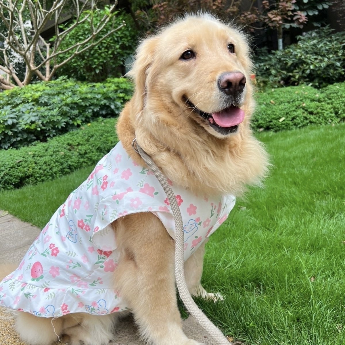 【新作犬猫服 登場】 犬服 ペット服 犬 洋服 春夏大型犬ペットベスト中型犬大型犬服